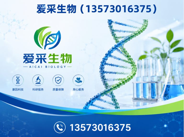 成武县食品添加剂展示图